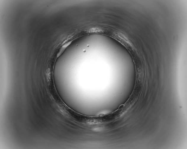 X0000086960549200704301240