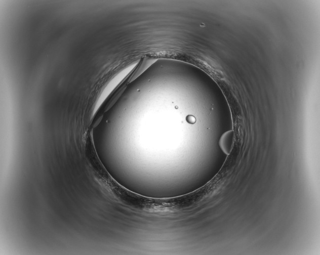 X0000086960550200704301240