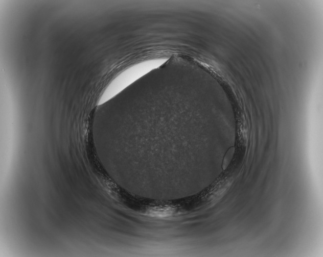X0000086960551200704301240
