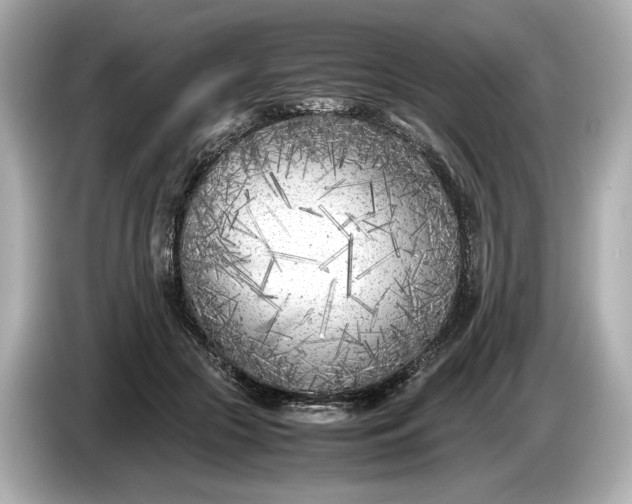 X0000086960553200704301240