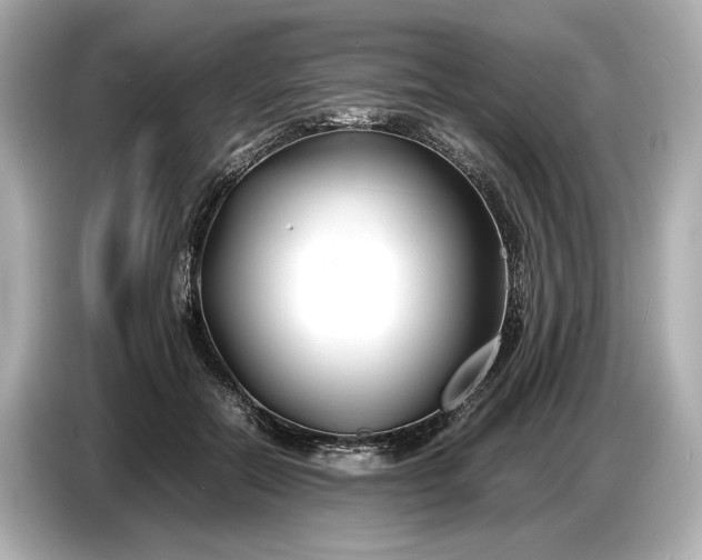 X0000086960554200704301240
