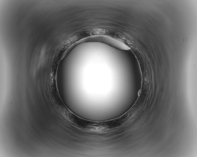 X0000086960555200704301240