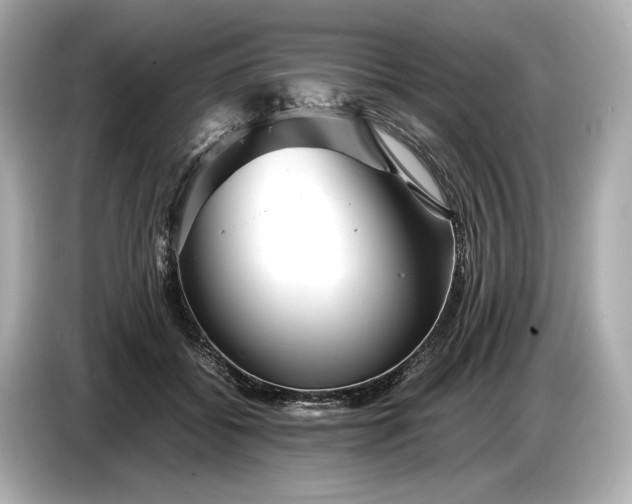 X0000086960556200704301240