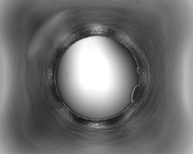 X0000086960557200704301240