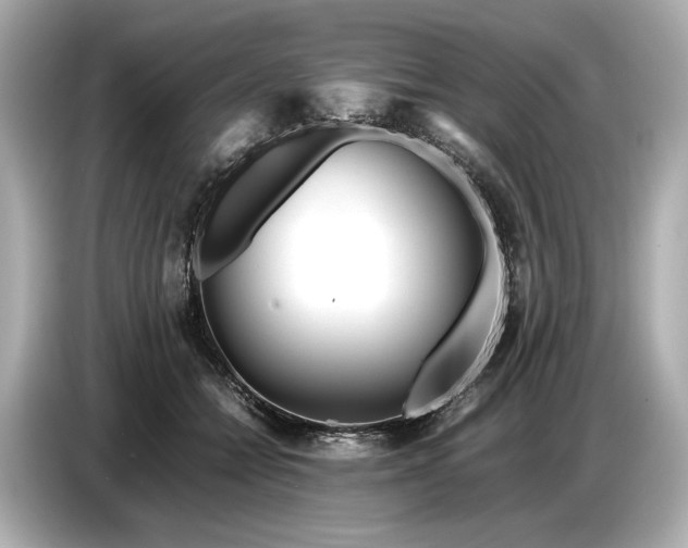 X0000086960558200704301240