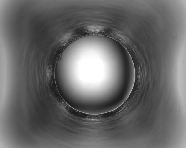X0000086960559200704301240