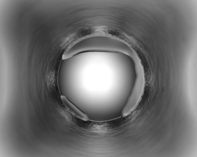 X0000086960560200704301240
