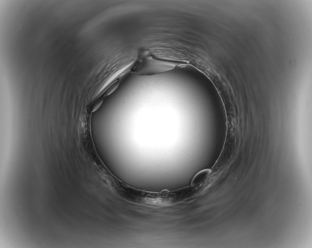 X0000086960561200704301240