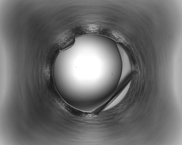 X0000086960562200704301240