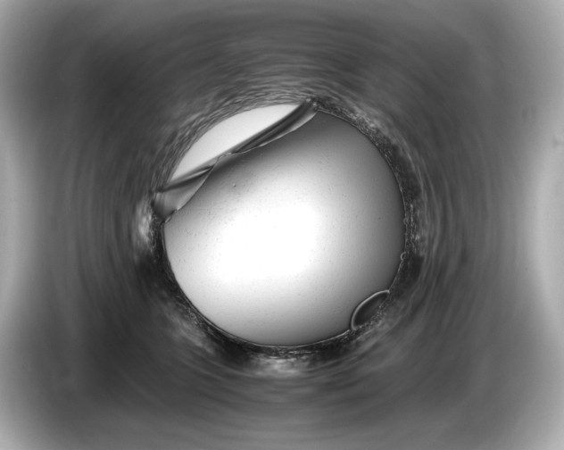 X0000086960563200704301240
