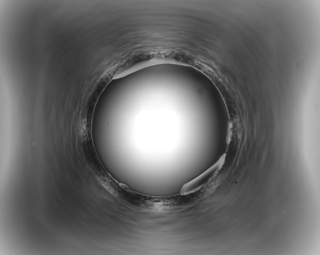 X0000086960564200704301240