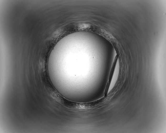 X0000086960565200704301240