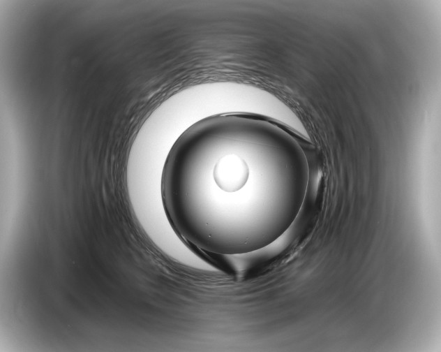 X0000086960566200704301240
