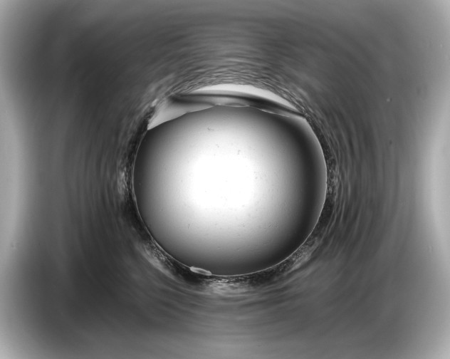 X0000086960568200704301240