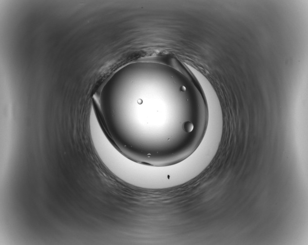 X0000086960570200704301240
