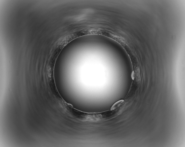 X0000086960571200704301240