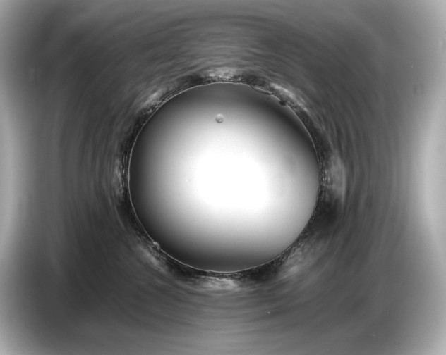 X0000086960572200704301240