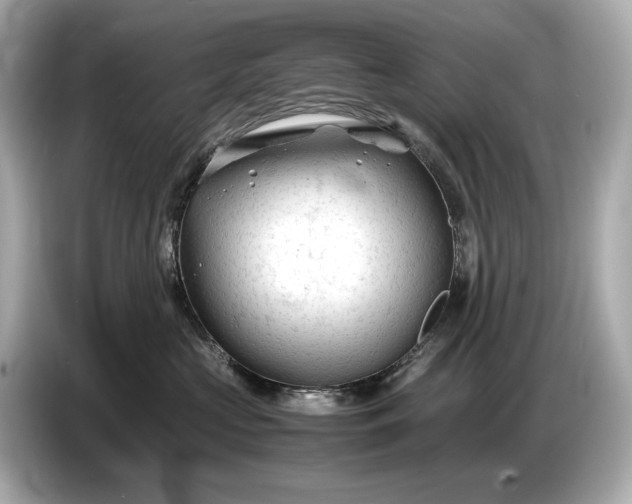 X0000086960573200704301240