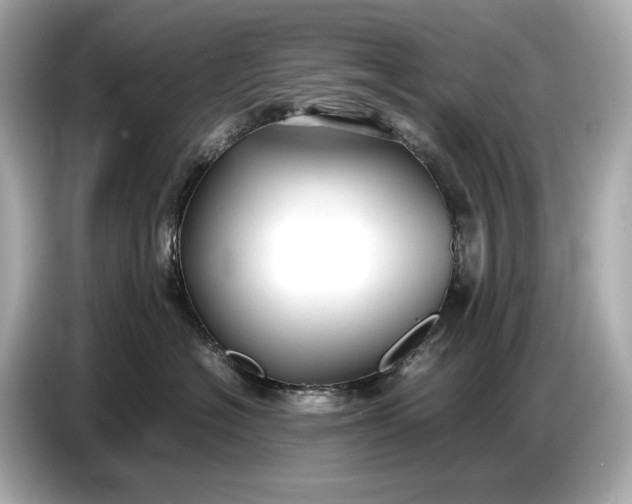 X0000086960574200704301240