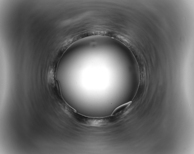 X0000086960575200704301240