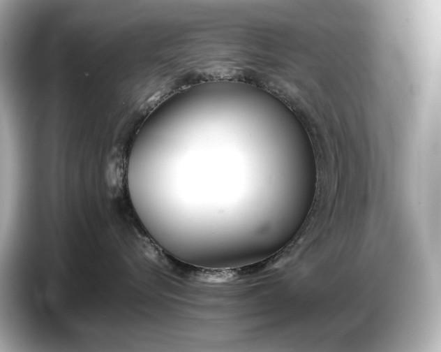 X0000086960576200704301240