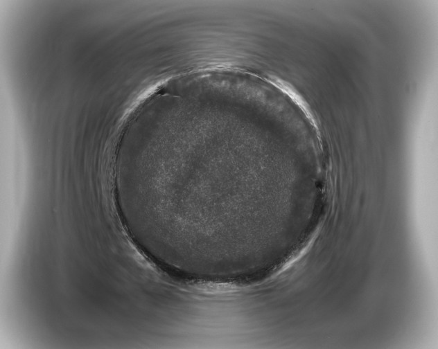 X0000086960577200704301239