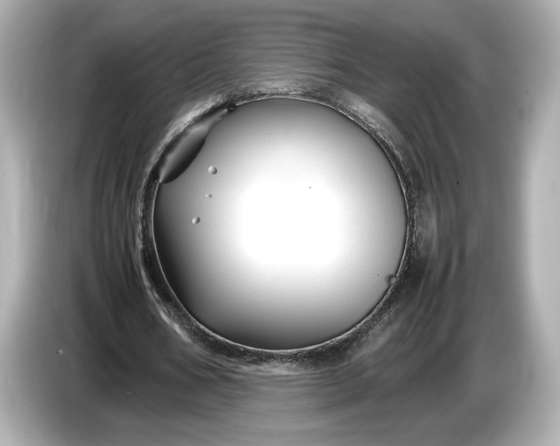 X0000086960578200704301239