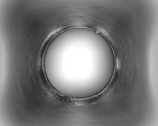 X0000086960579200704301239