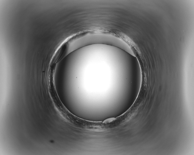 X0000086960580200704301239