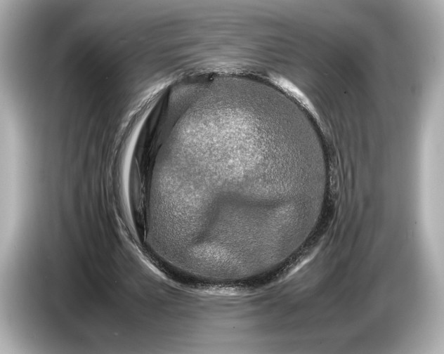 X0000086960581200704301239