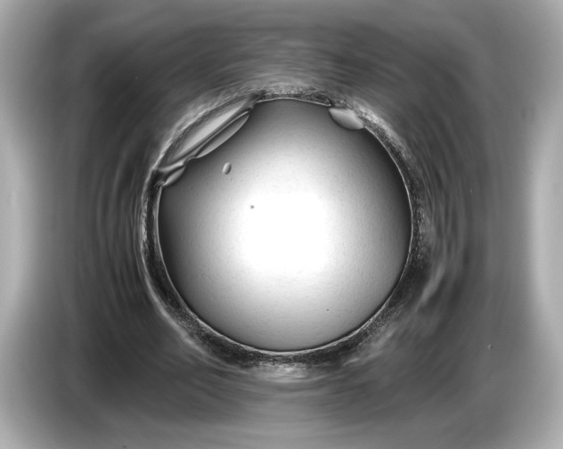 X0000086960582200704301239