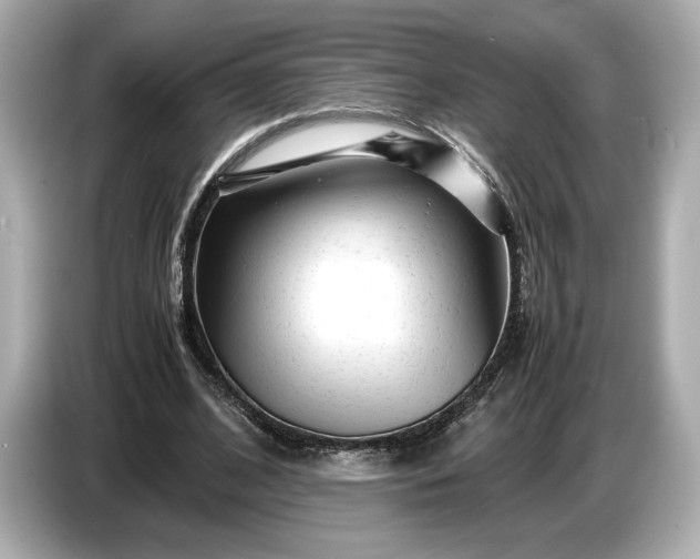 X0000086960584200704301239