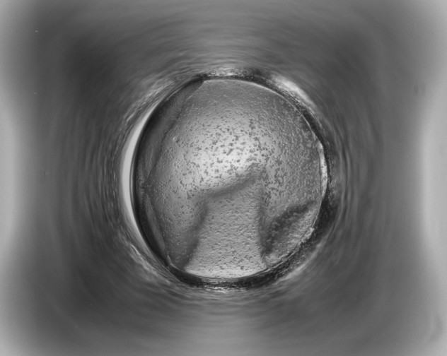 X0000086960585200704301239