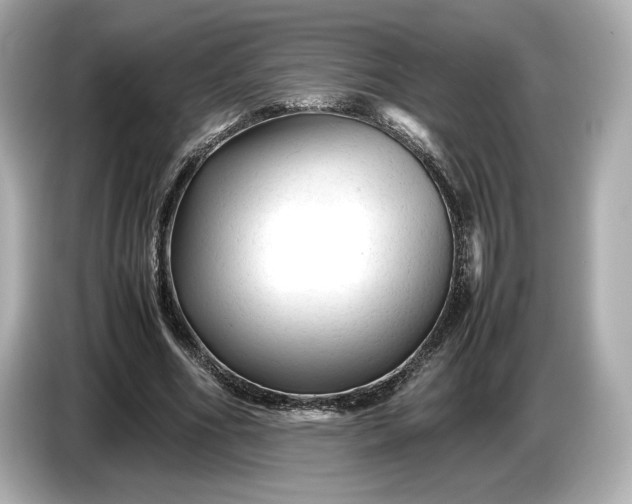 X0000086960586200704301239