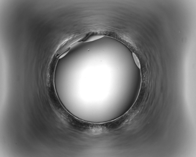 X0000086960587200704301239