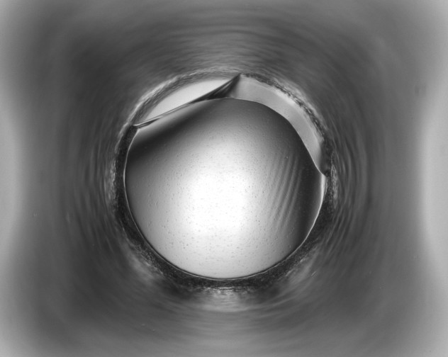 X0000086960588200704301239