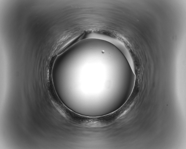 X0000086960589200704301239