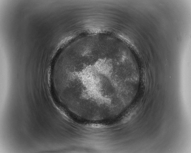 X0000086960590200704301239