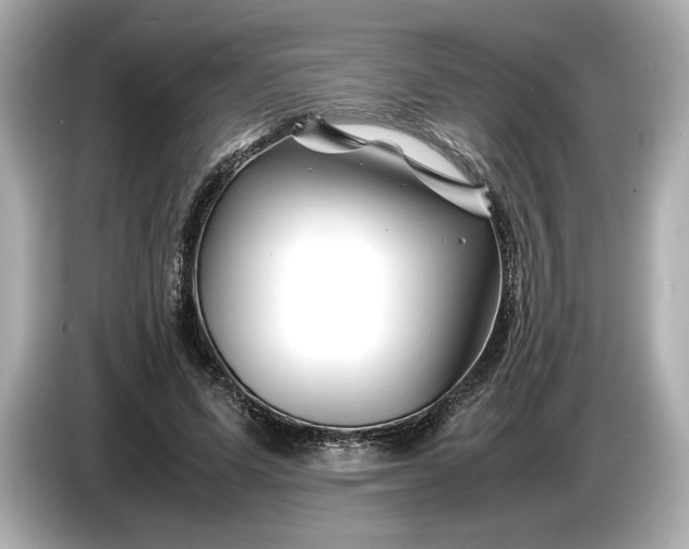X0000086960591200704301239