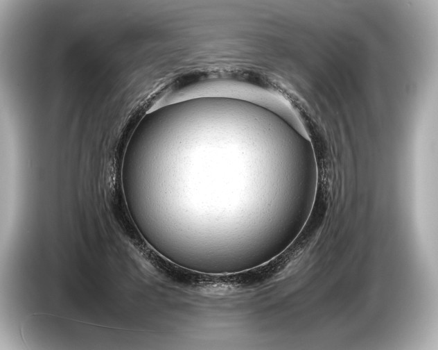 X0000086960593200704301239