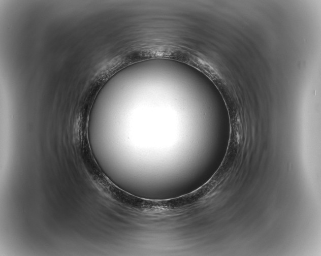 X0000086960594200704301239