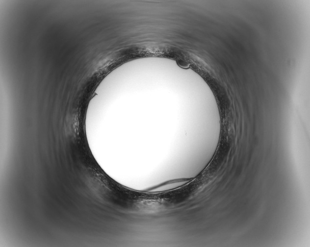 X0000086960595200704301239