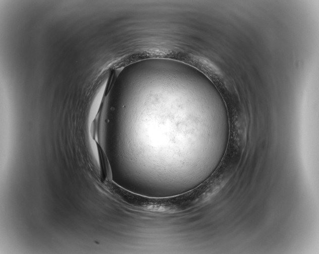 X0000086960596200704301239