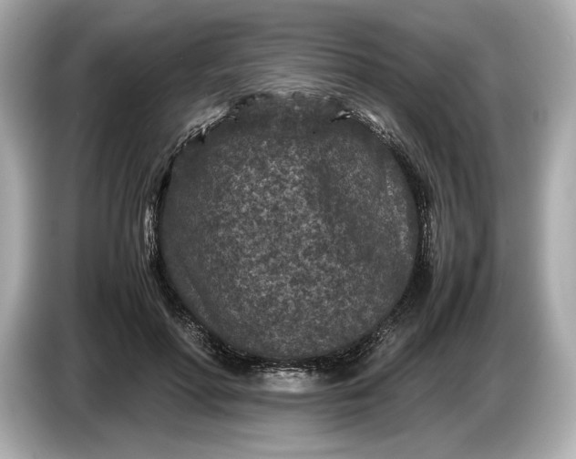 X0000086960598200704301239