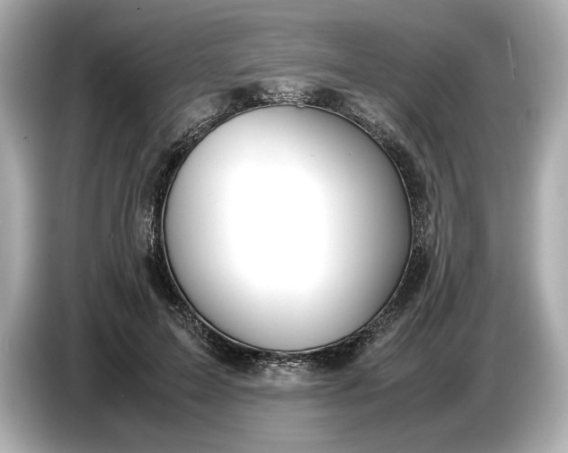 X0000086960599200704301239