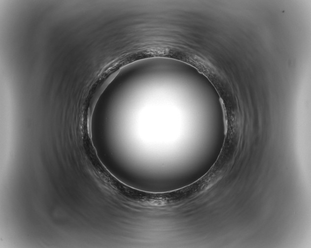 X0000086960600200704301239