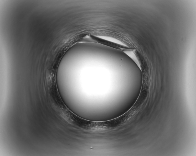 X0000086960601200704301239