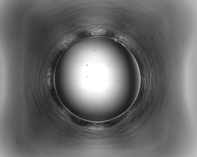X0000086960604200704301239