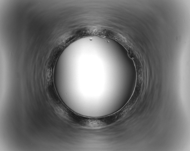 X0000086960605200704301239