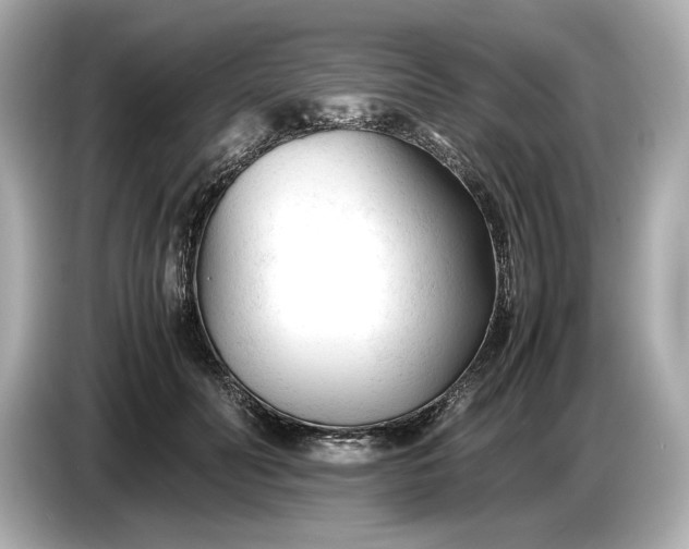 X0000086960606200704301239